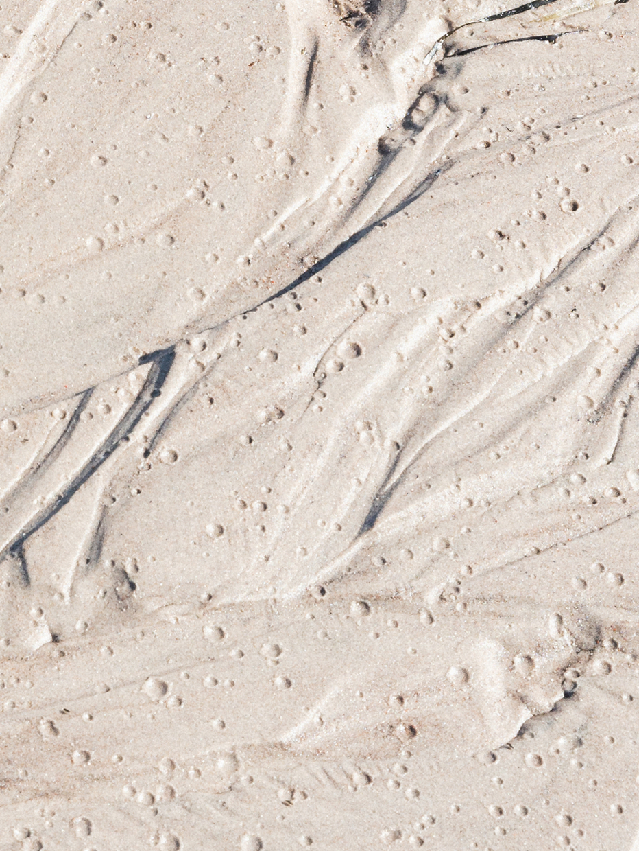 Sand texture